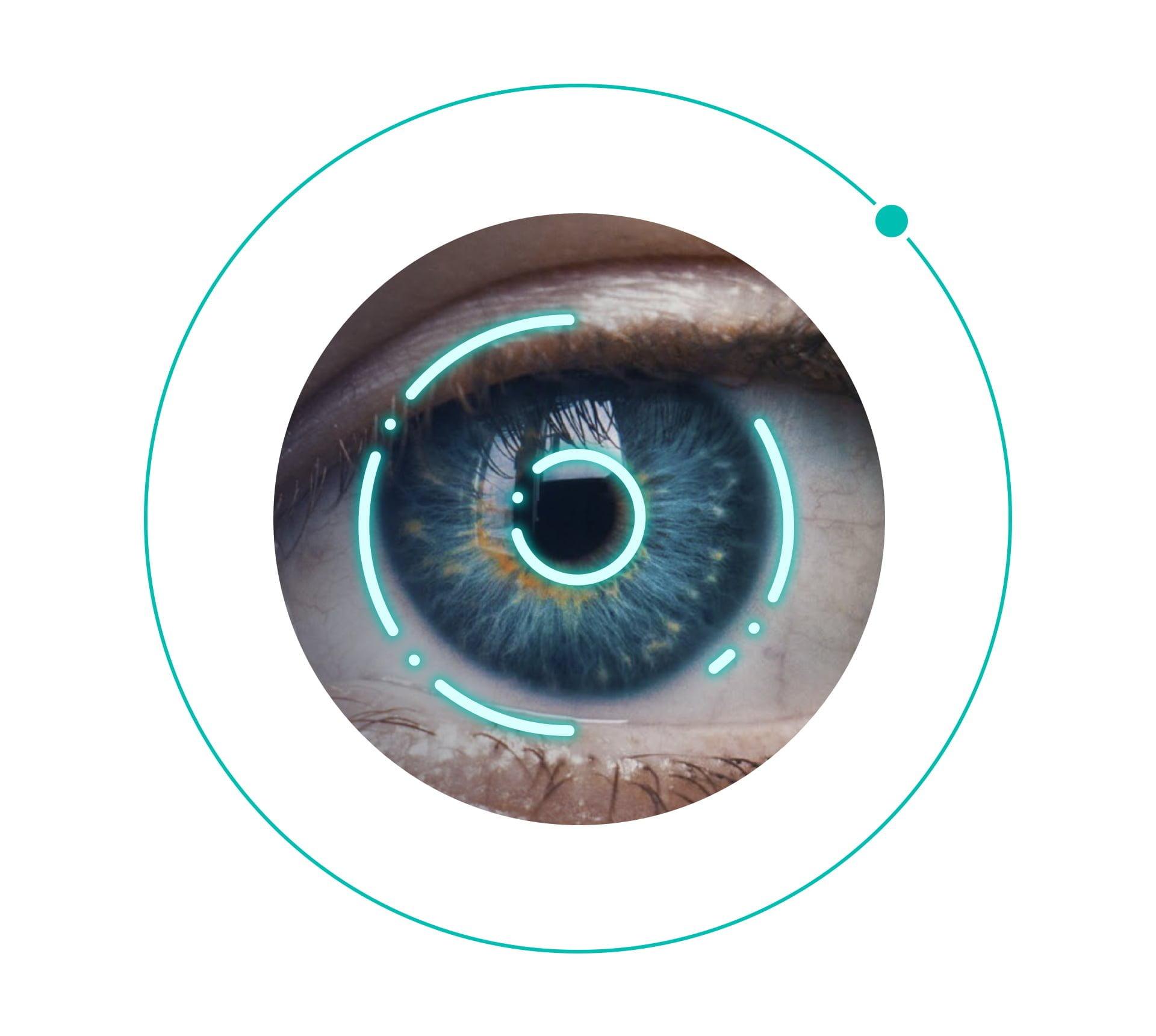 Iris Recognition Technology - Innovatrics - How It Works